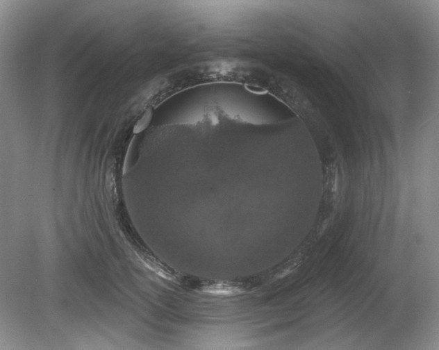 X0000080130754200612081230