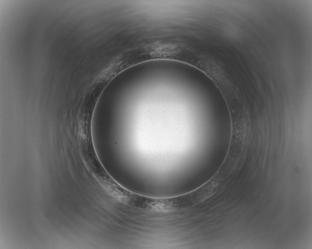 X0000080130755200612081230