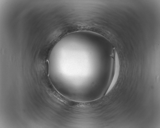 X0000080130756200612081230