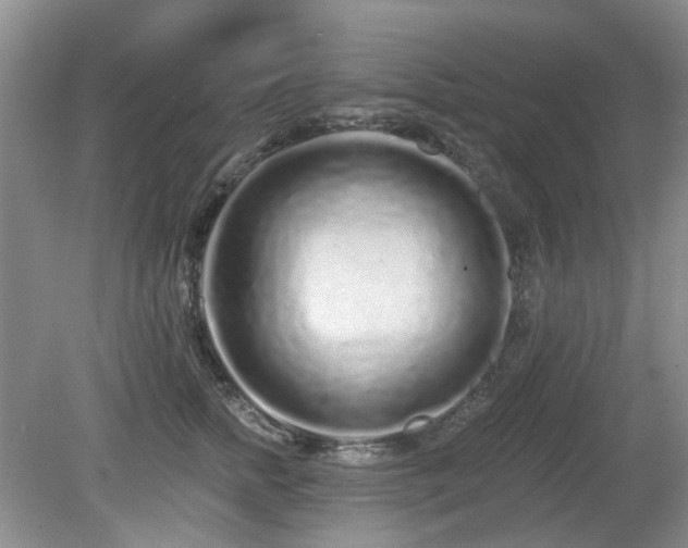 X0000080130758200612081230