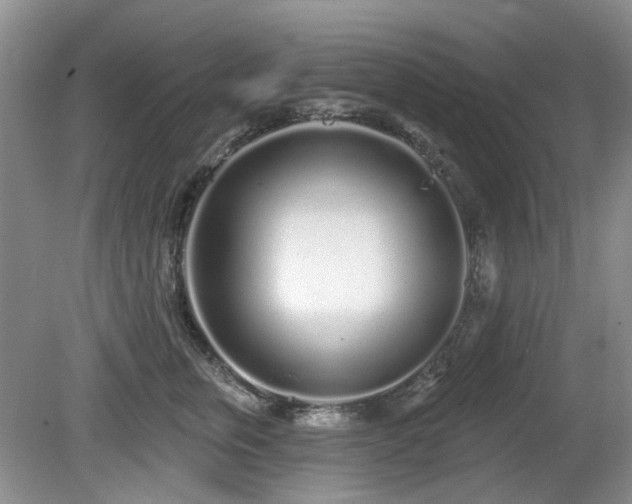 X0000080130759200612081230