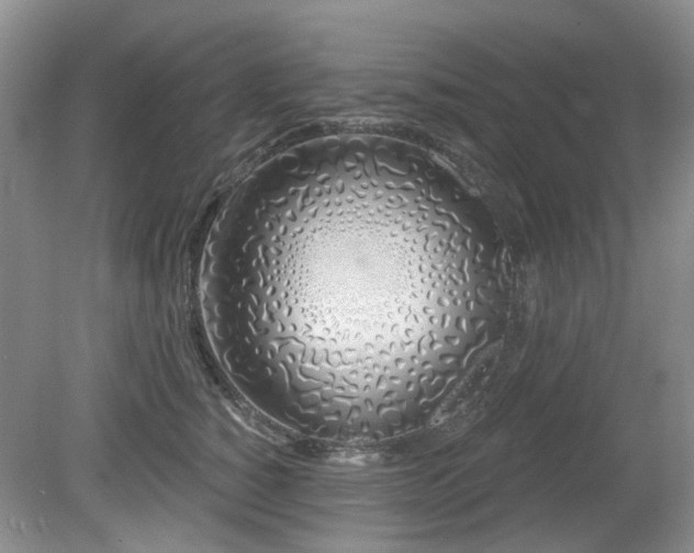 X0000080130760200612081230