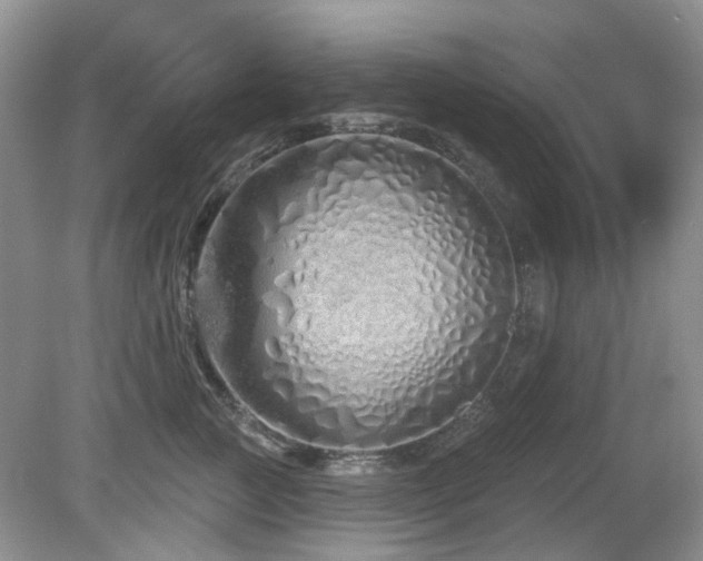 X0000080130761200612081230