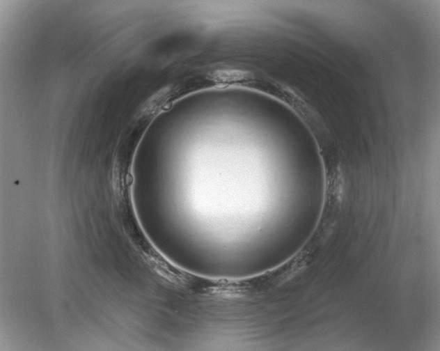 X0000080130763200612081230