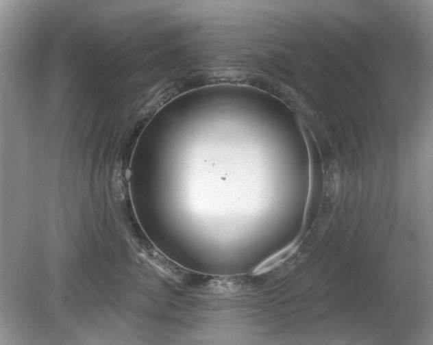 X0000080130764200612081230