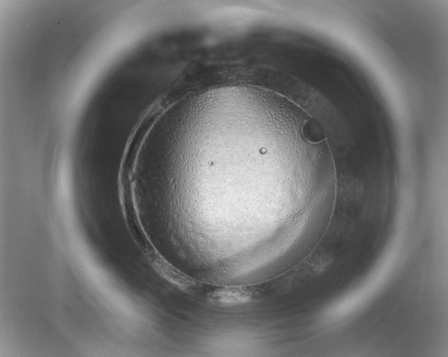 X0000080130765200612081230