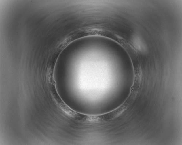 X0000080130767200612081230