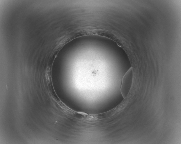 X0000080130768200612081230