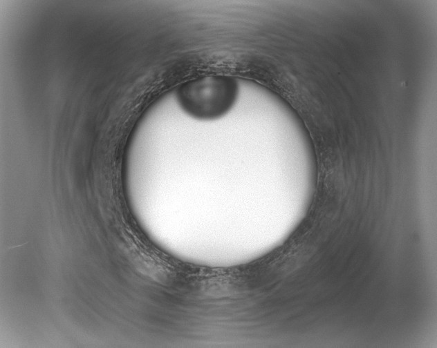 X0000080130769200612081229