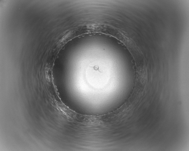 X0000080130770200612081229