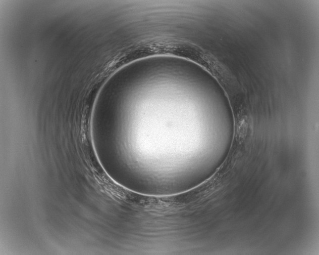 X0000080130772200612081229