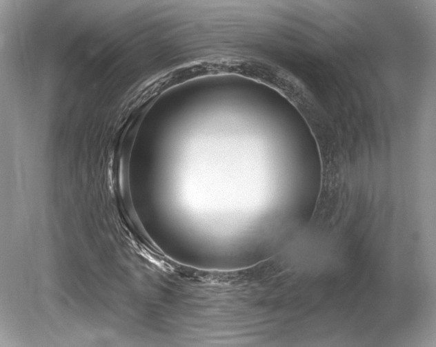 X0000080130773200612081229