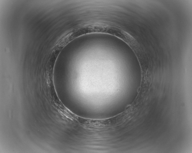 X0000080130774200612081229