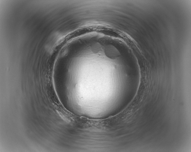 X0000080130775200612081229