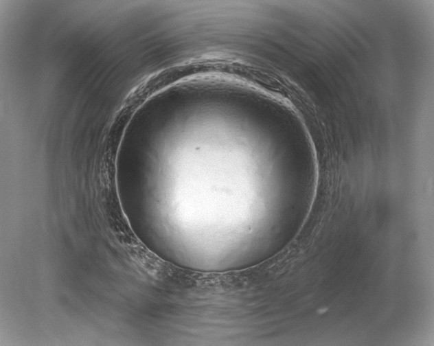 X0000080130776200612081229