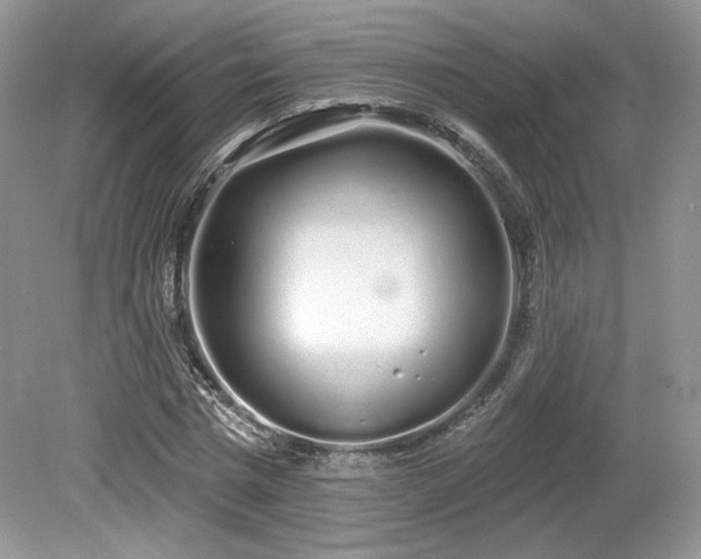 X0000080130777200612081229