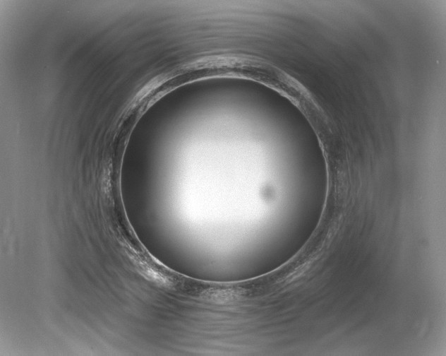 X0000080130778200612081229