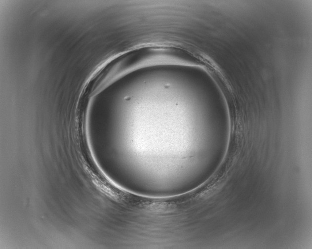 X0000080130779200612081229