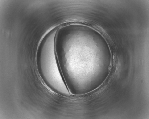 X0000080130780200612081229