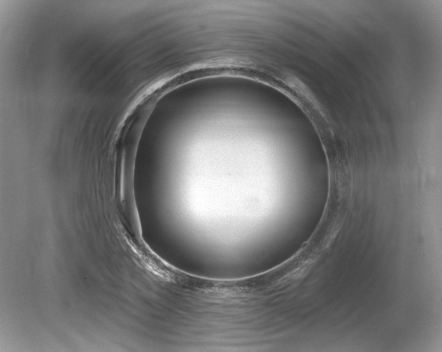 X0000080130781200612081229