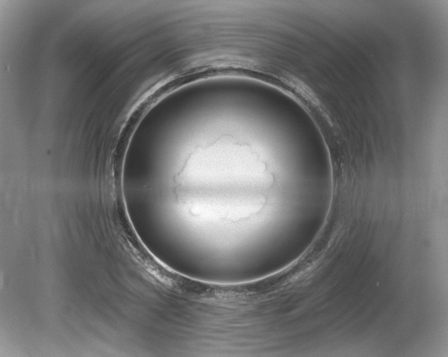 X0000080130782200612081229