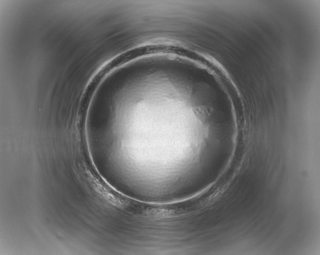 X0000080130783200612081229