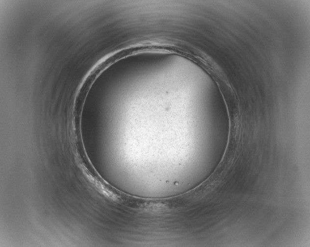 X0000080130784200612081229