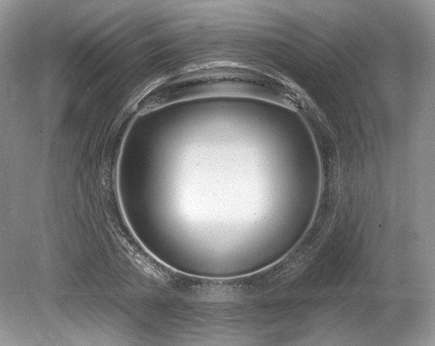 X0000080130785200612081229