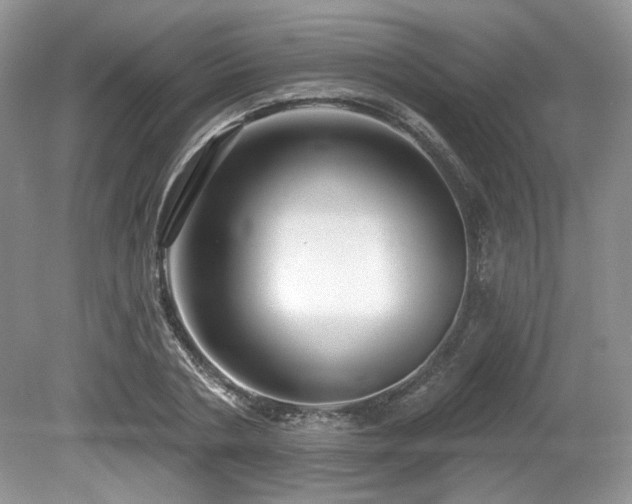 X0000080130786200612081229