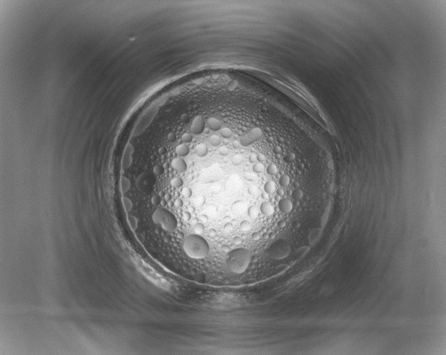 X0000080130787200612081229