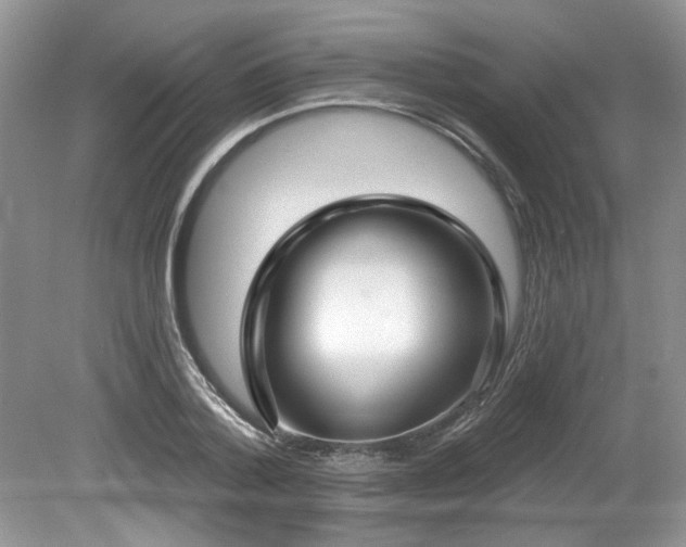 X0000080130788200612081229