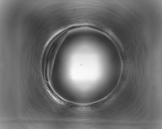 X0000080130789200612081229