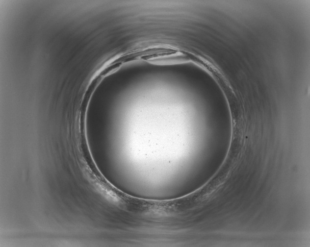 X0000080130790200612081229