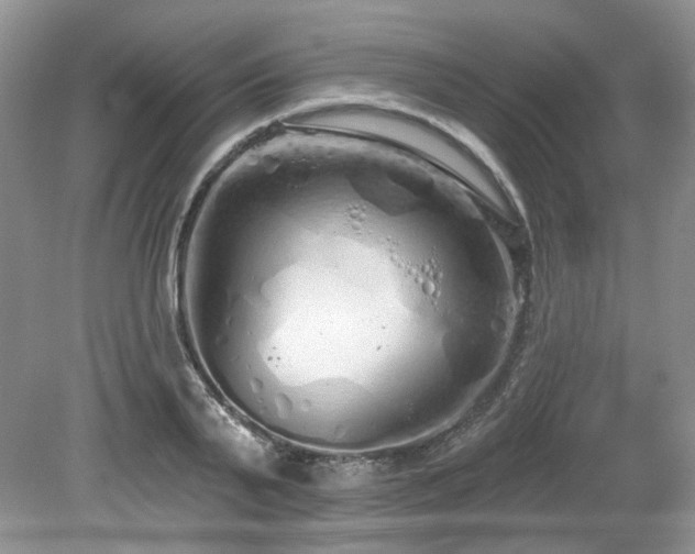 X0000080130791200612081229