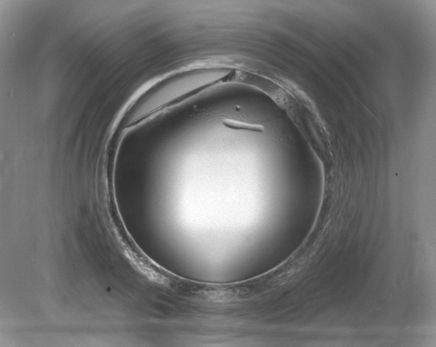 X0000080130792200612081229