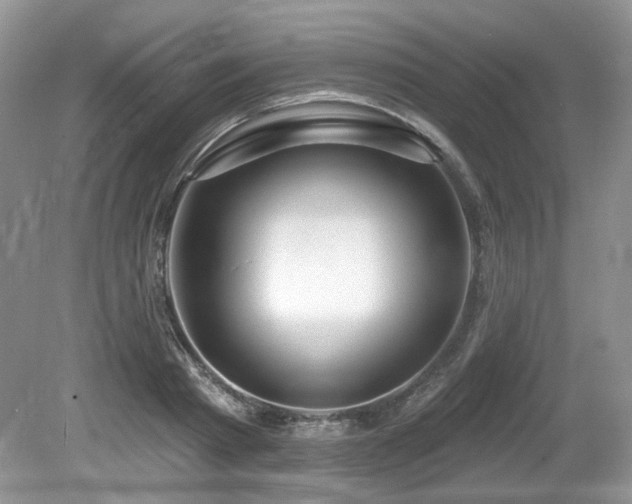 X0000080130793200612081229