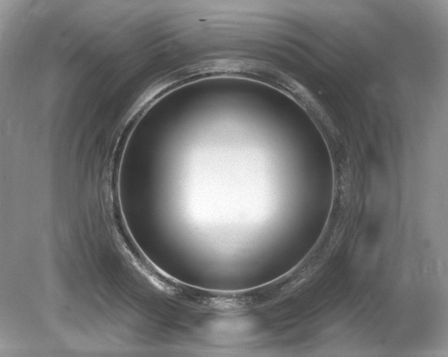 X0000080130794200612081229