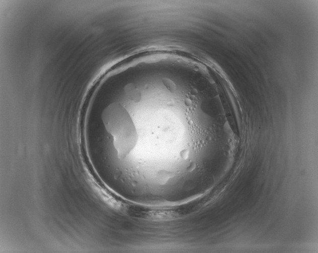 X0000080130795200612081229