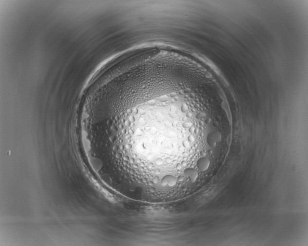 X0000080130799200612081229