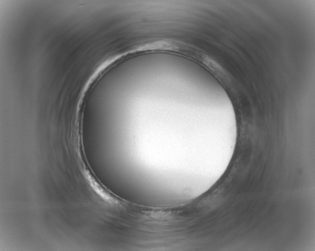 X0000080130800200612081229