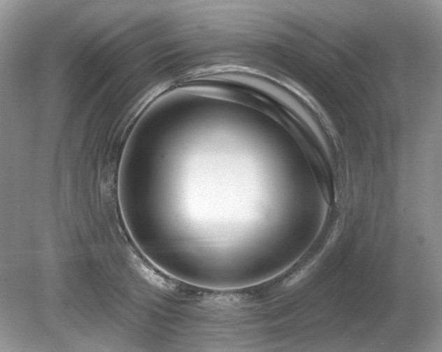 X0000080130801200612081229