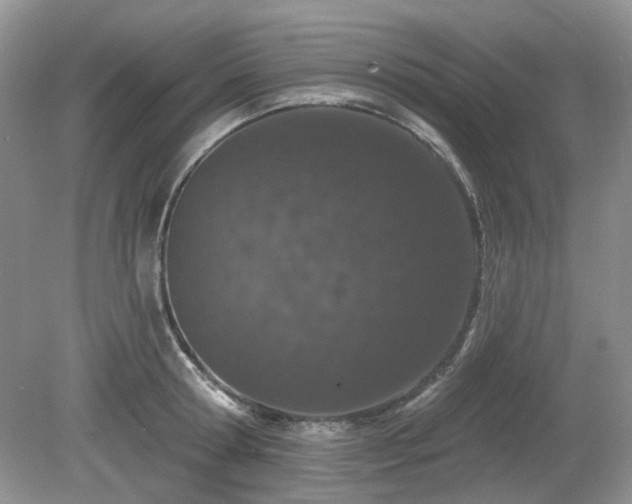 X0000080130802200612081228