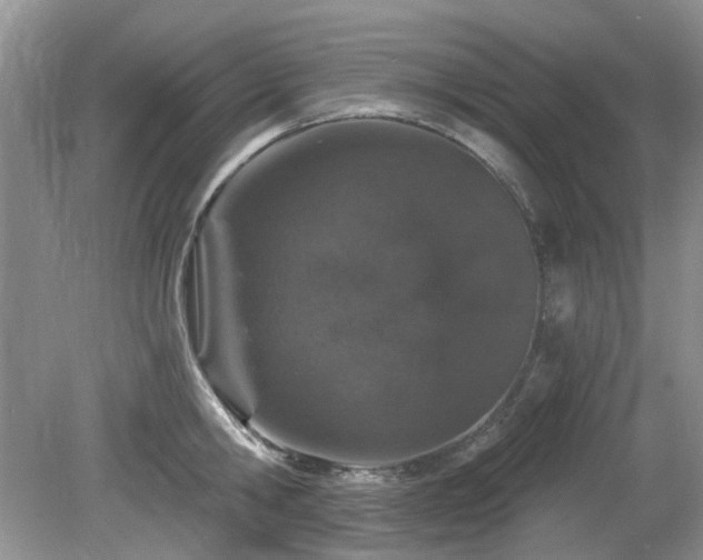 X0000080130806200612081228