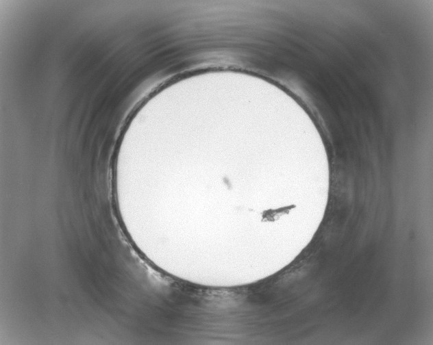 X0000080130807200612081228