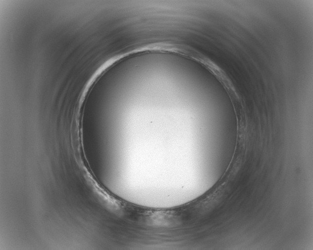 X0000080130808200612081228