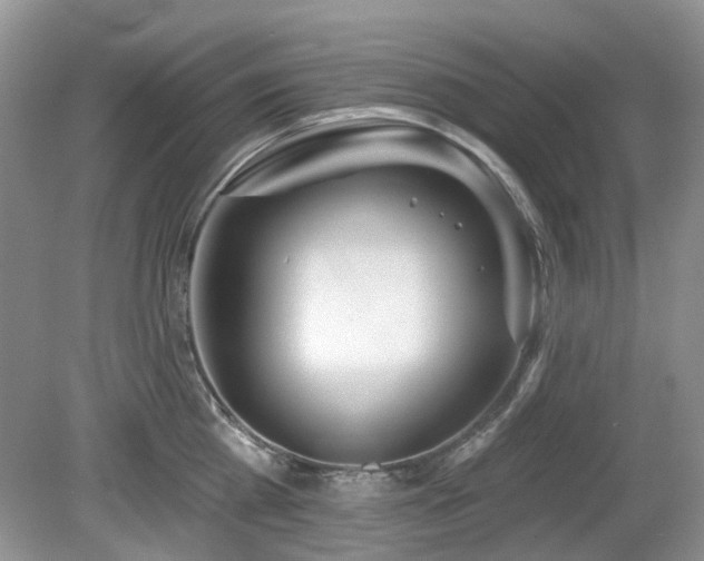 X0000080130809200612081228