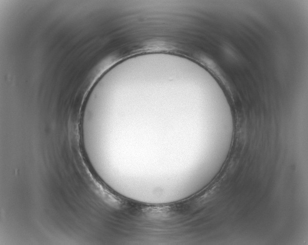 X0000080130810200612081228