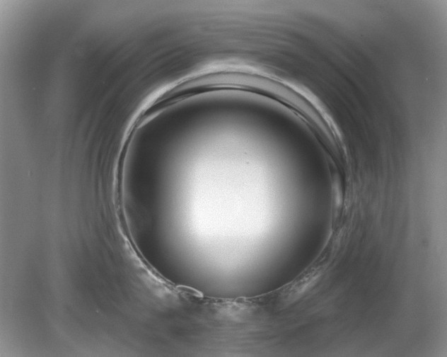 X0000080130815200612081228