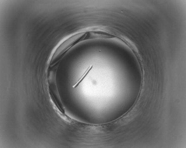 X0000080130816200612081228