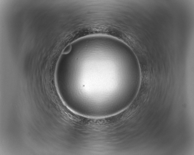 X0000080130817200612081227